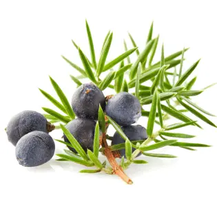 Juniper Berries